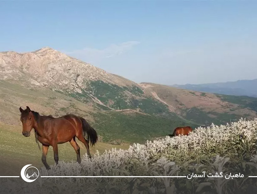 جا‌های دیدنی جواهردشت